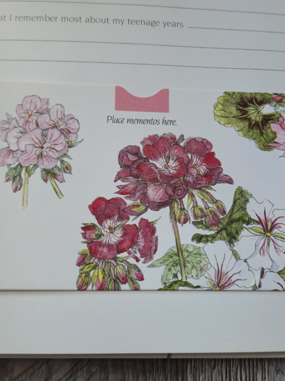 Beshlie Grandmother's Album A Keepsake for Sharing Pop-Up Floral Book '92 1st Ed - Picture 10 of 15